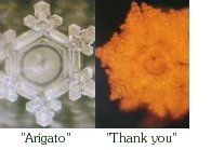 Crystals, Arigato, Thanks