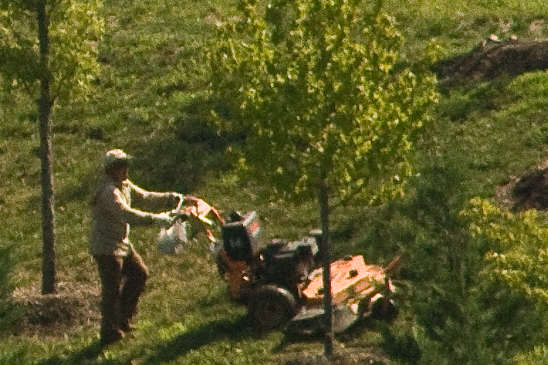 Mowing between trees