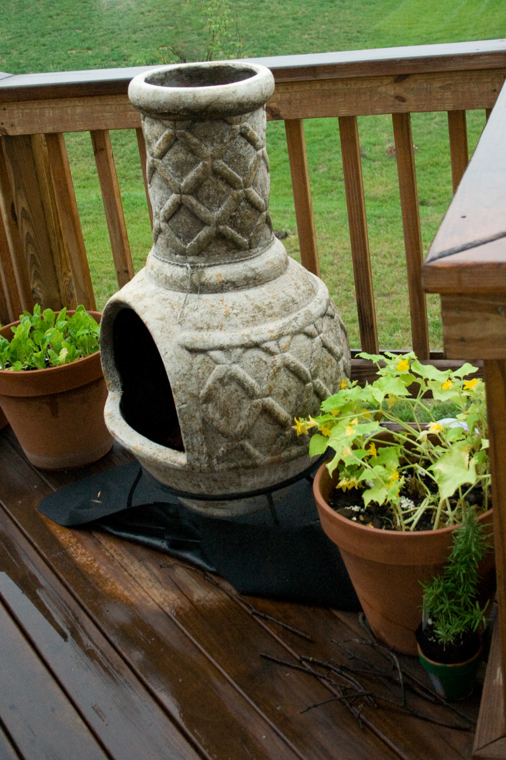 Garden on Deck