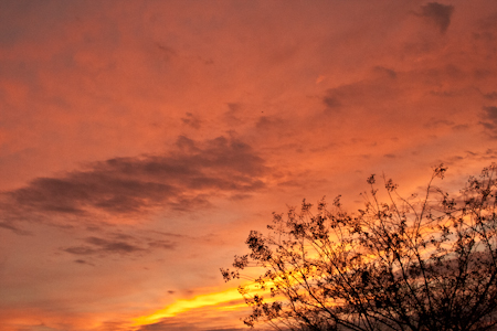 Fiery Dawn