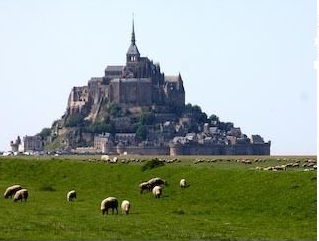 Sheep, Le Mont Saint Michel