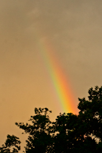 Rainbow, June 28, 2013