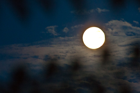 Supermoon - brilliant in front of clouds