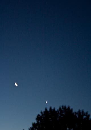 Moon and morningstar